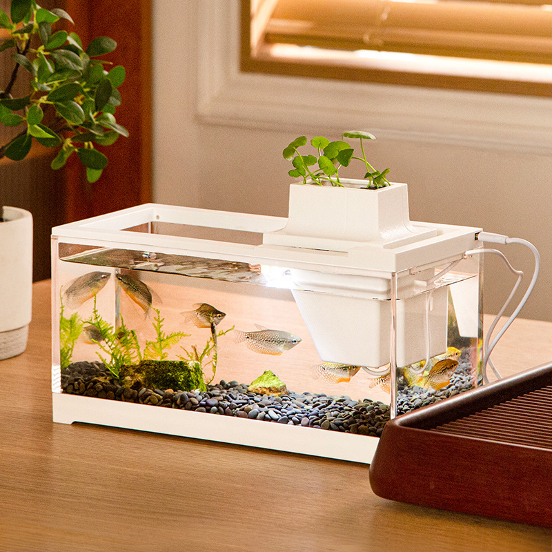 Aquarium Fish Goldfish - Fish Tank Aquarium Kits with Water
