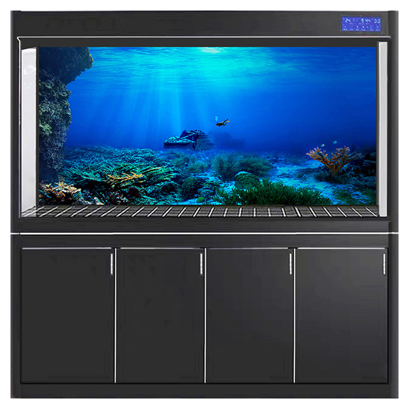 Aquarium Fish Of The World - Fish Tank Background Decorative Painting Plants