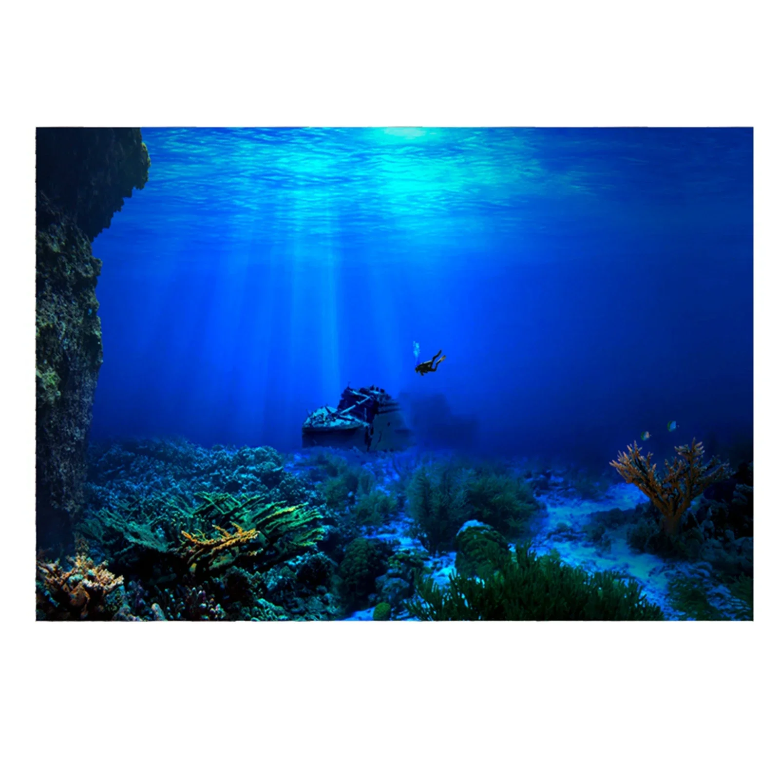Aquarium Fish Of The World - Rainforest Aquarium Background Poster Fish Tank