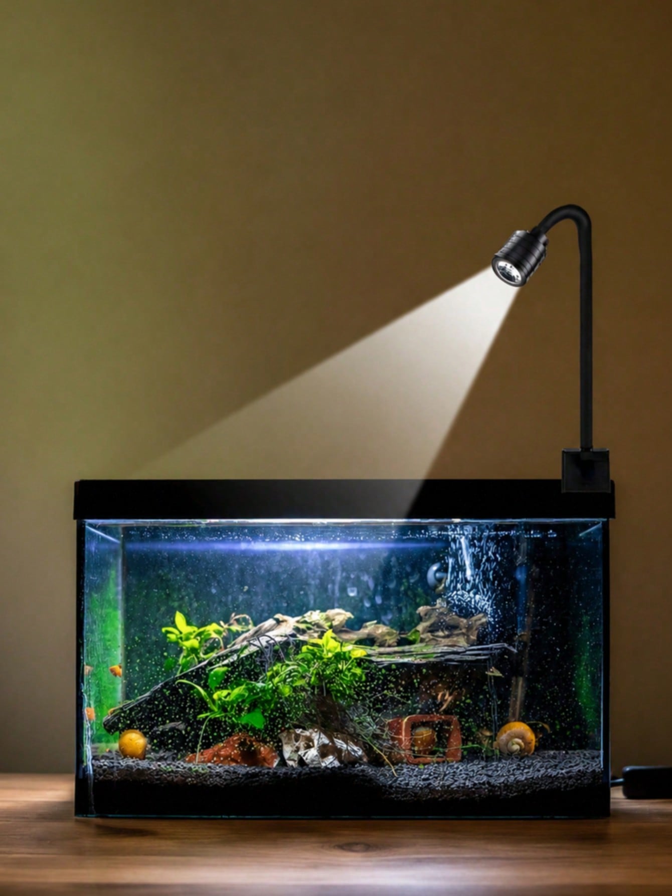 Aquarium Fish Goldfish - USB aquarium lights, Zoom South American