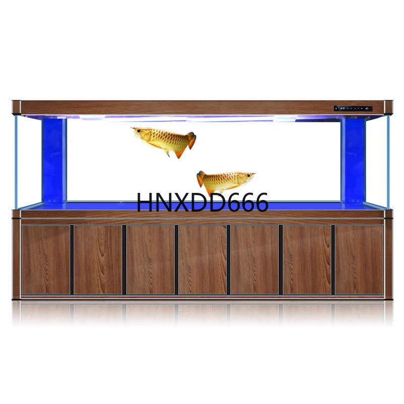 Aquarium Fish Dragon - Large golden dragon fish tank aquarium,