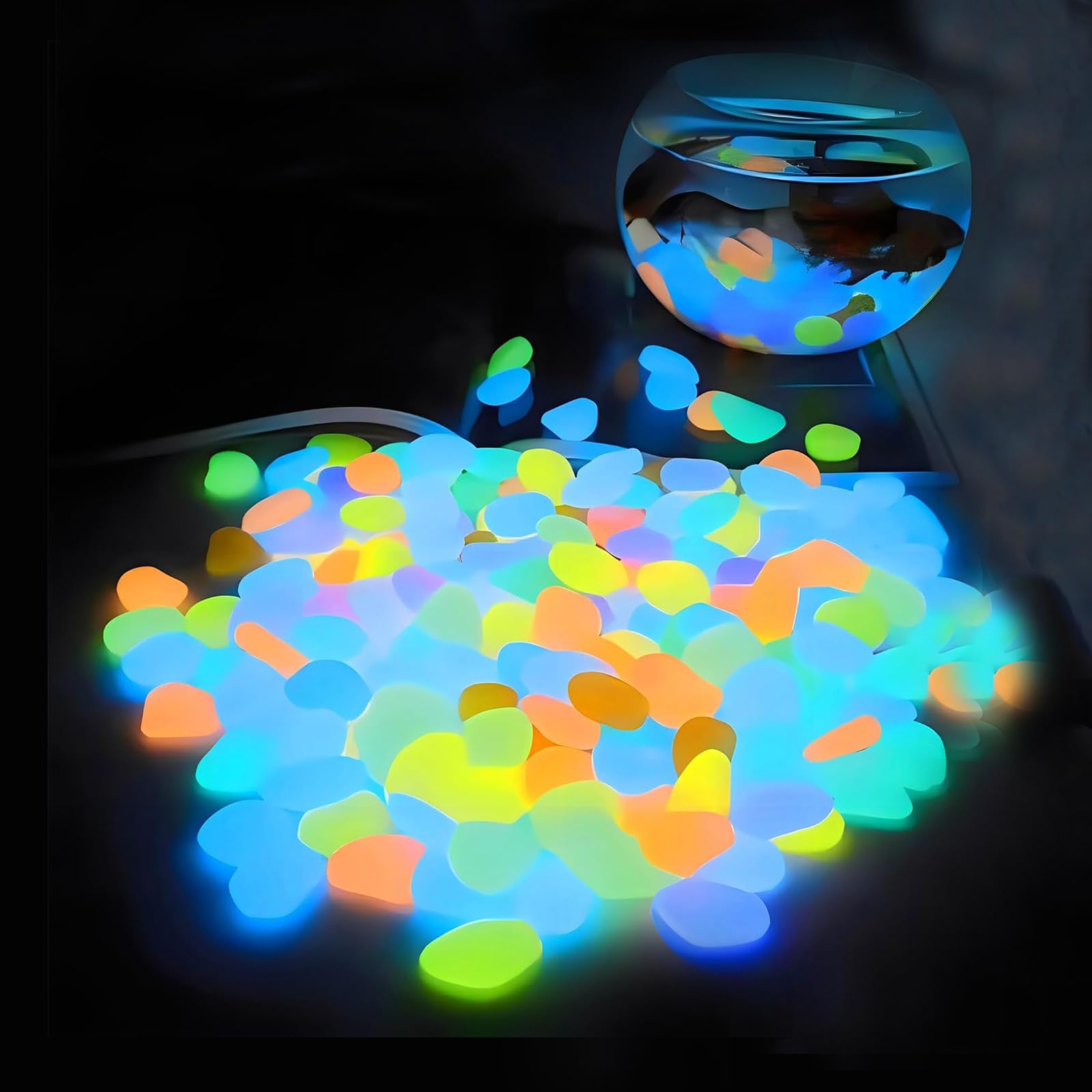 Aquarium Fish That Glow In The Dark - Aquarium Decor Glow In The Dark