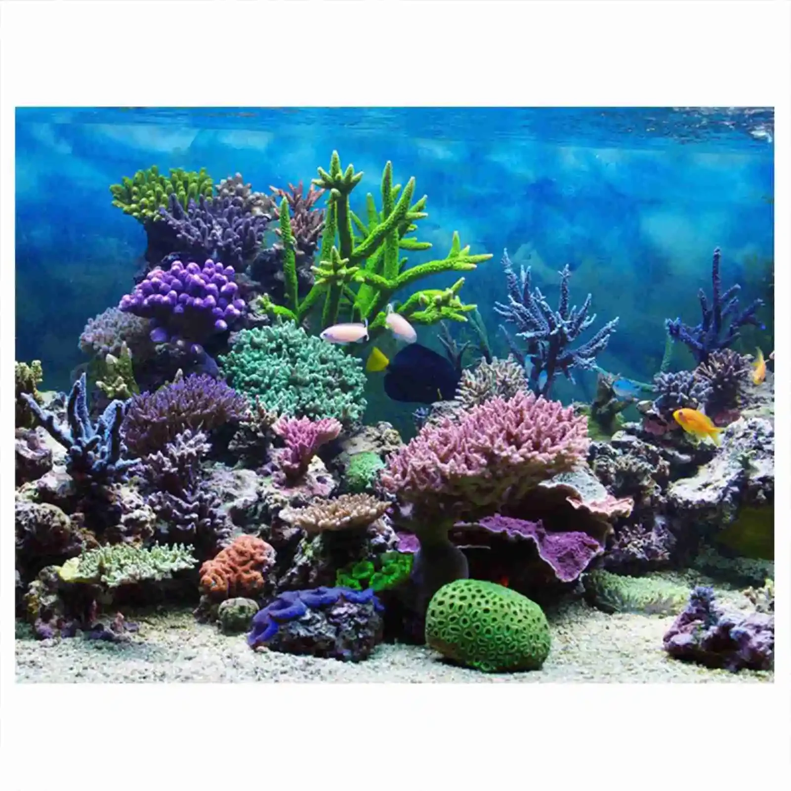 Aquarium Fish Poster - 3D Aquarium Landscape Poster Rainforest Wallpaper