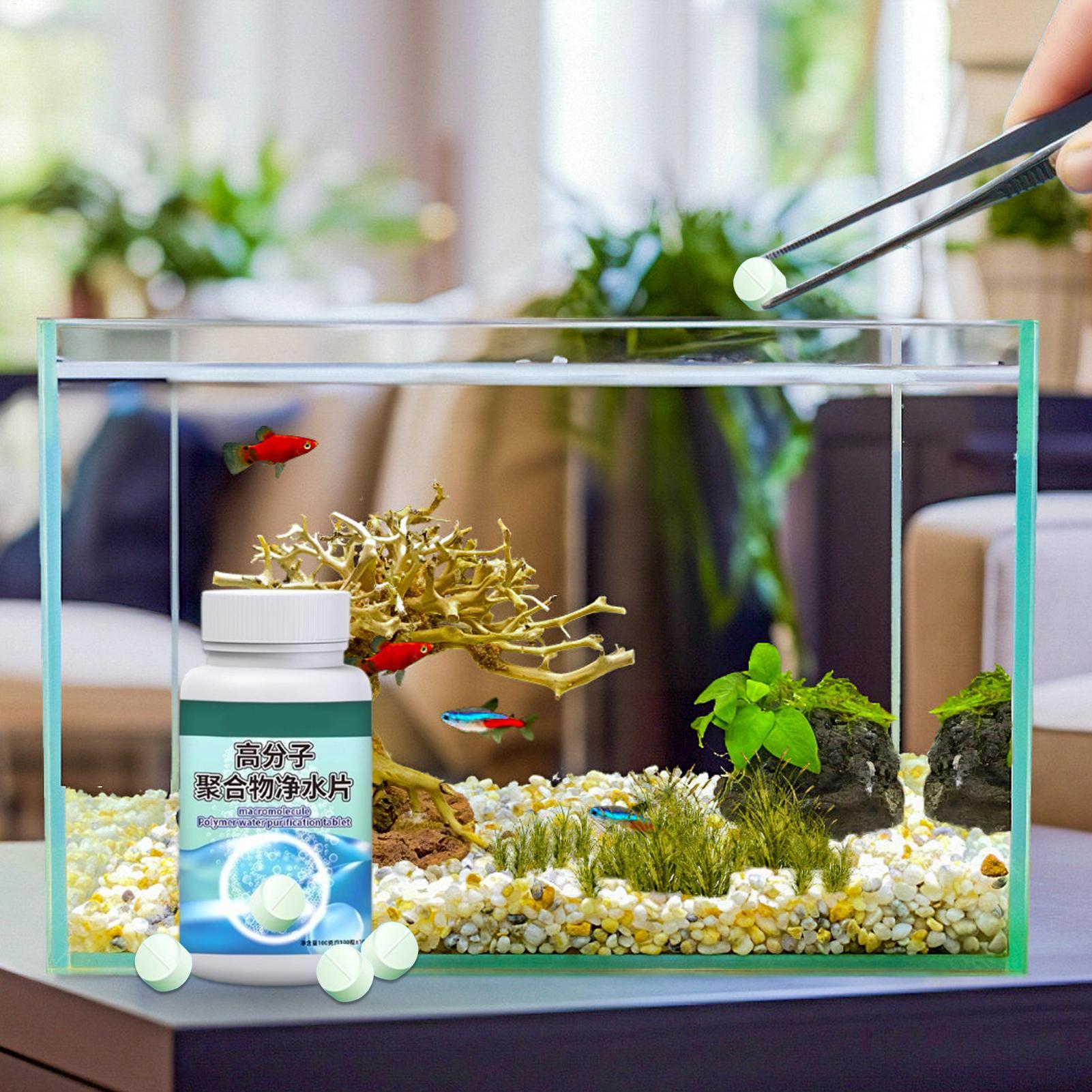 Fish Can Algae Remover Aquariu - огляд і ціна Aquarium Fish Care