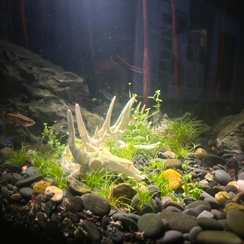 1pc Dragon-Shaped Fishbone Dec - огляд і ціна Aquarium Fish Dragon