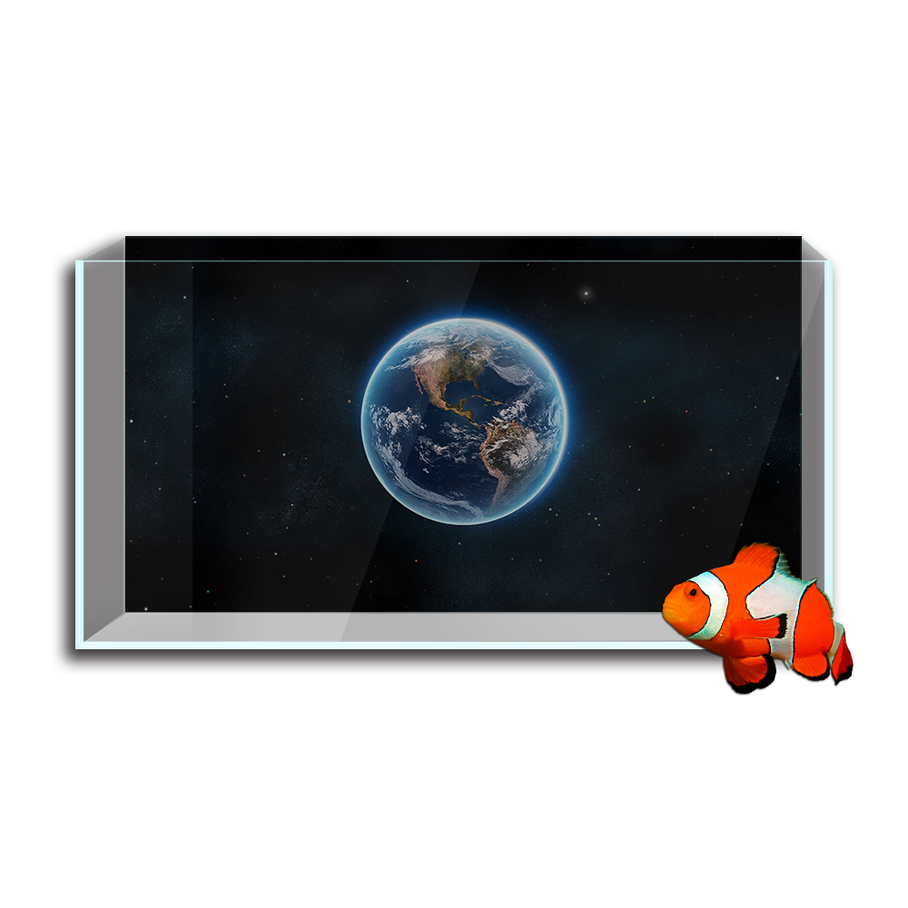 Aquarium Fish Tank  Background - огляд і ціна Aquarium Fish Poster