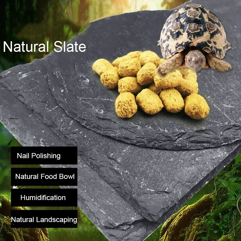 Natural Slate Aquarium Pet Rep - огляд і ціна Aquarium Fish Feeder