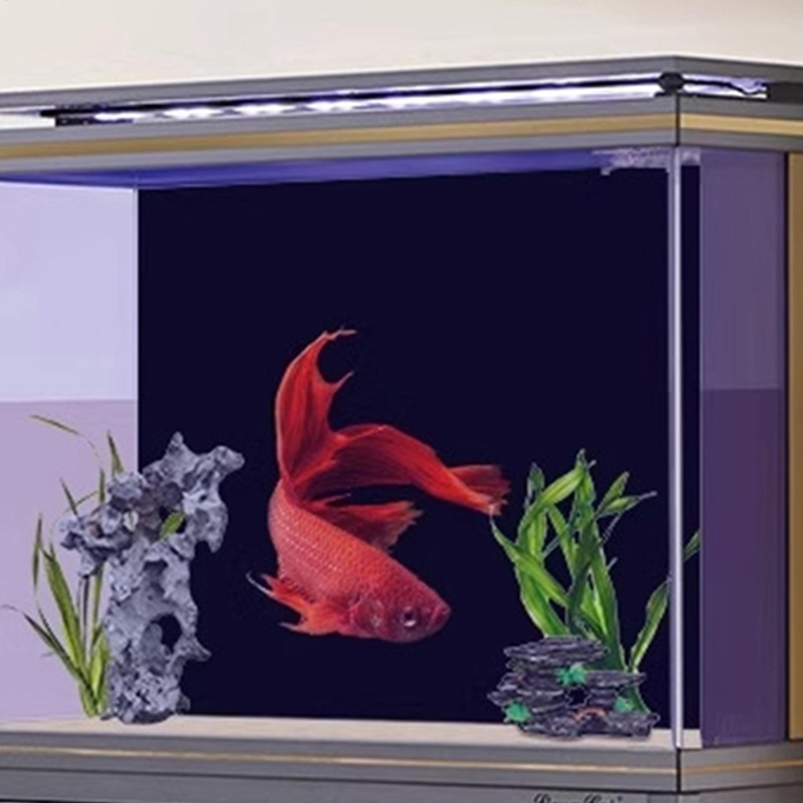 Fish Tank Background Static Cl - огляд і ціна Aquarium Fish Poster