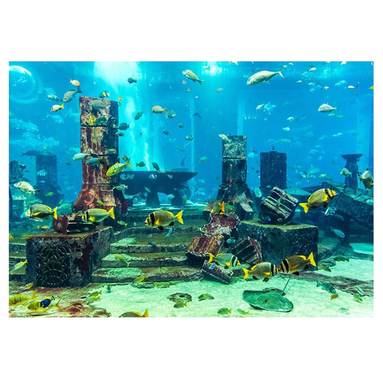 ZK20 Coral Aquarium Background - огляд і ціна Aquarium Fish Poster