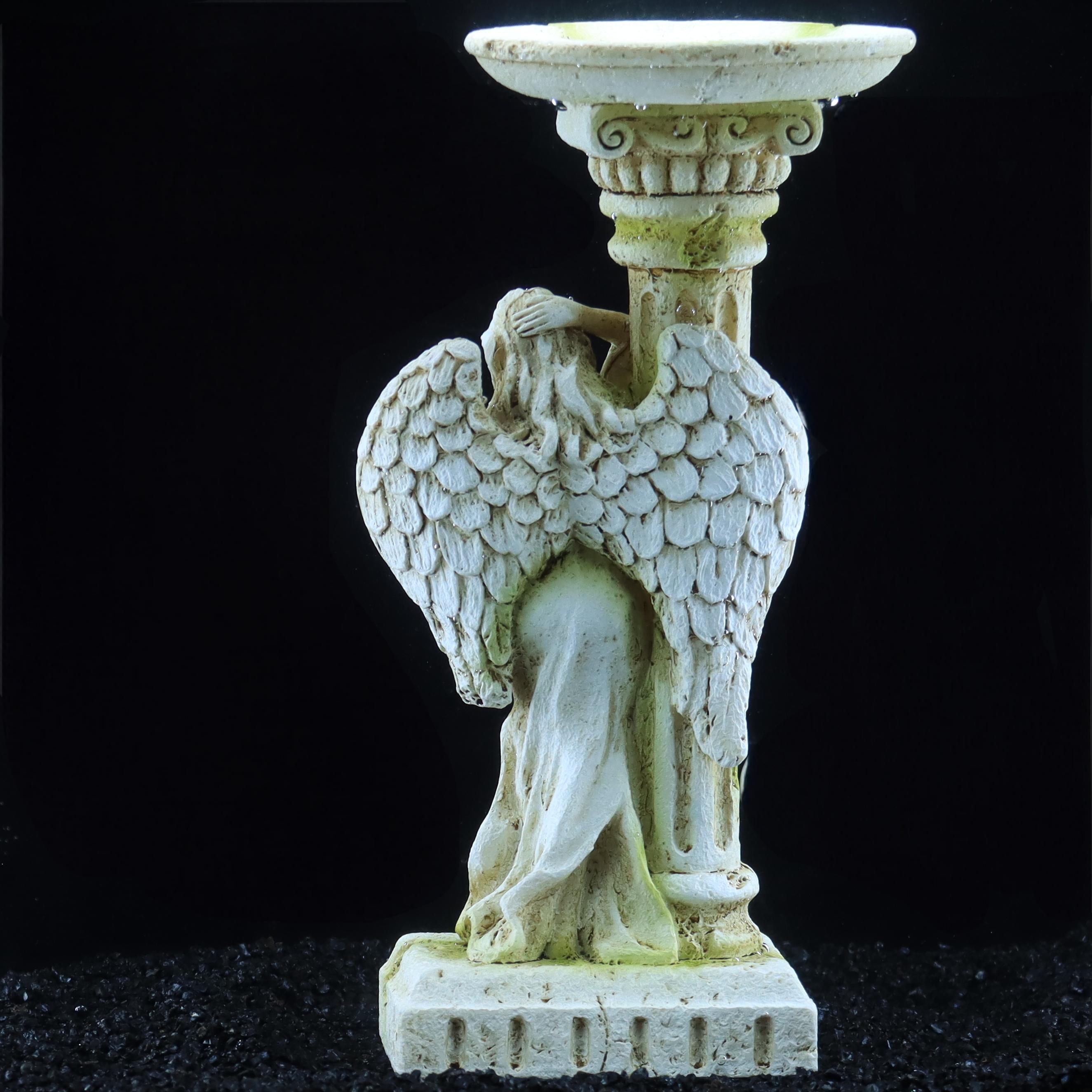 roman angel, vintage romantic  - огляд і ціна Aquarium Fish Angel