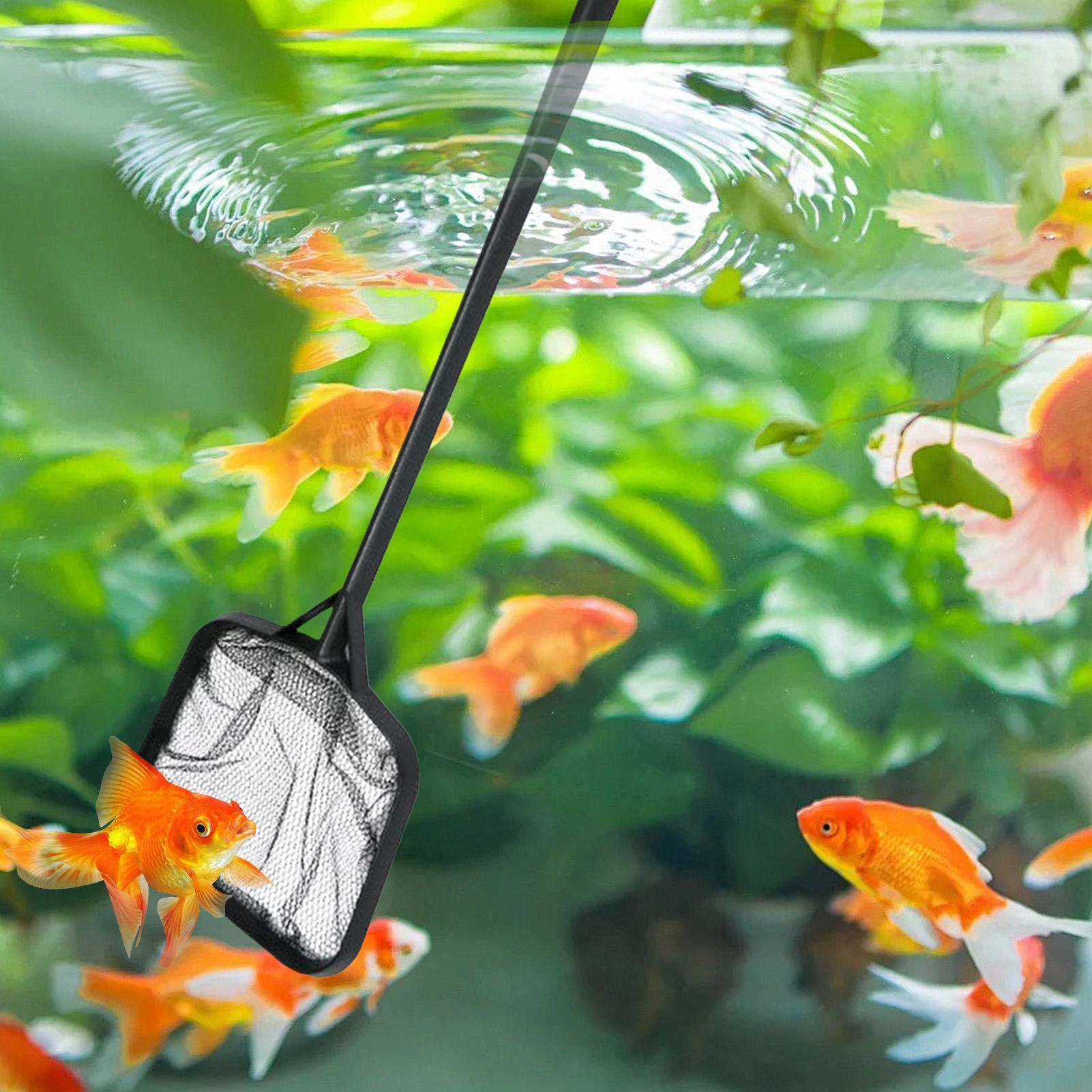 Pool Nets for Cleaning Portabl - огляд і ціна Aquarium Fish Care