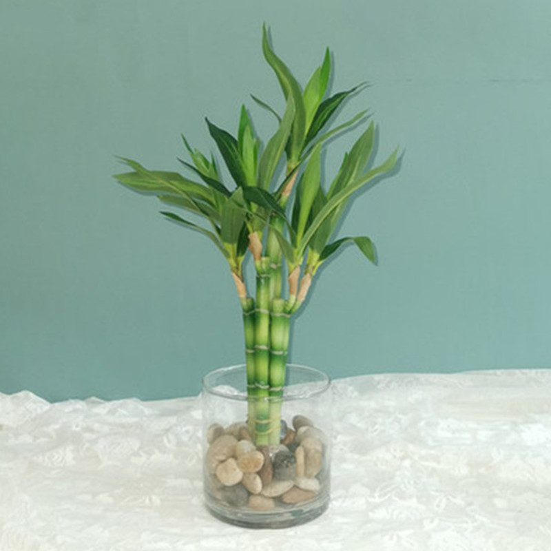 New 40cm rFtificial Lucky Bamb - огляд і ціна Aquarium Fish Fishing