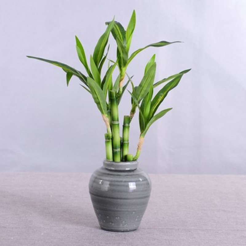 New 40cm rFtificial Lucky Bamb - огляд і ціна Aquarium Fish Fishing