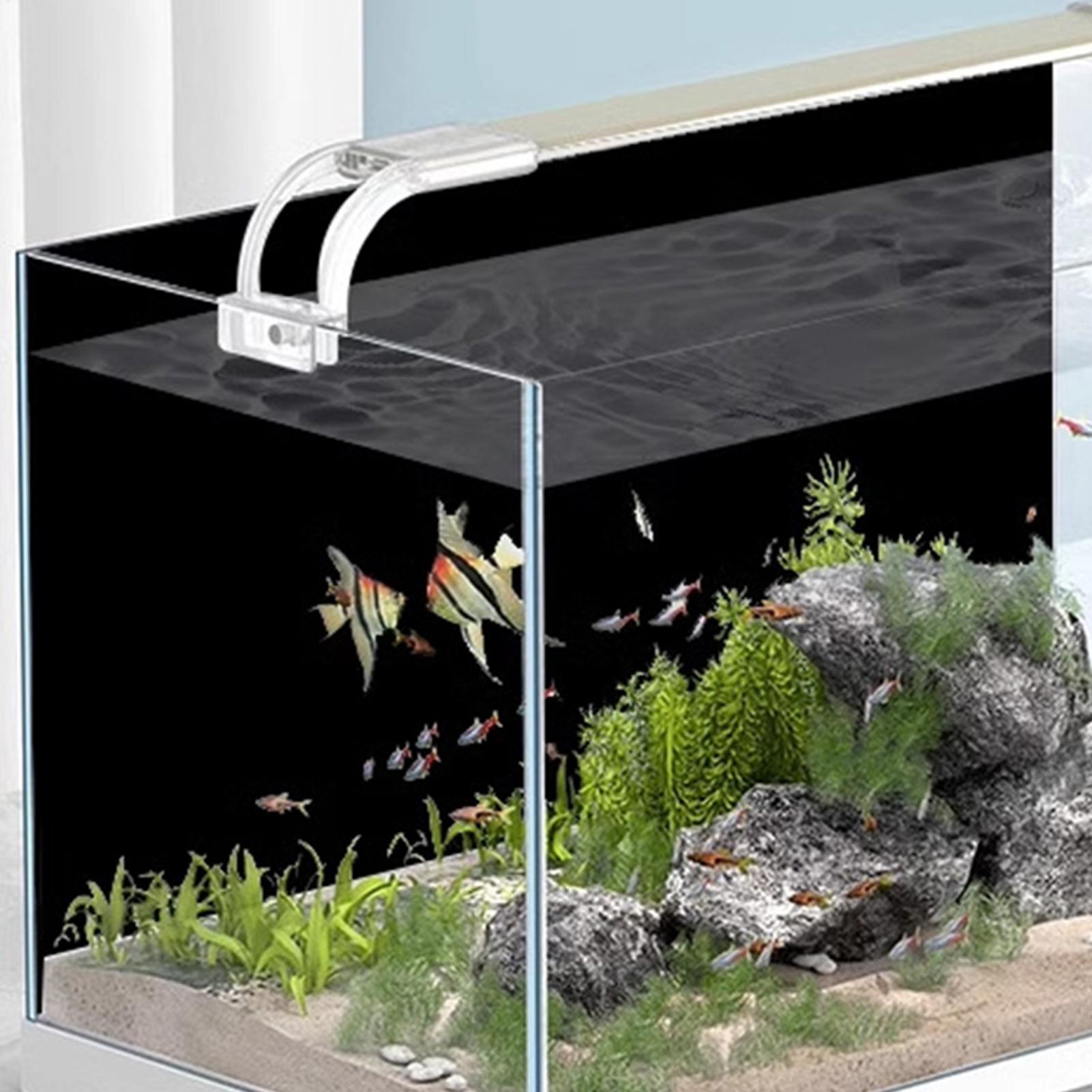 Fish Tank Background Static Cl - огляд і ціна Aquarium Fish Poster