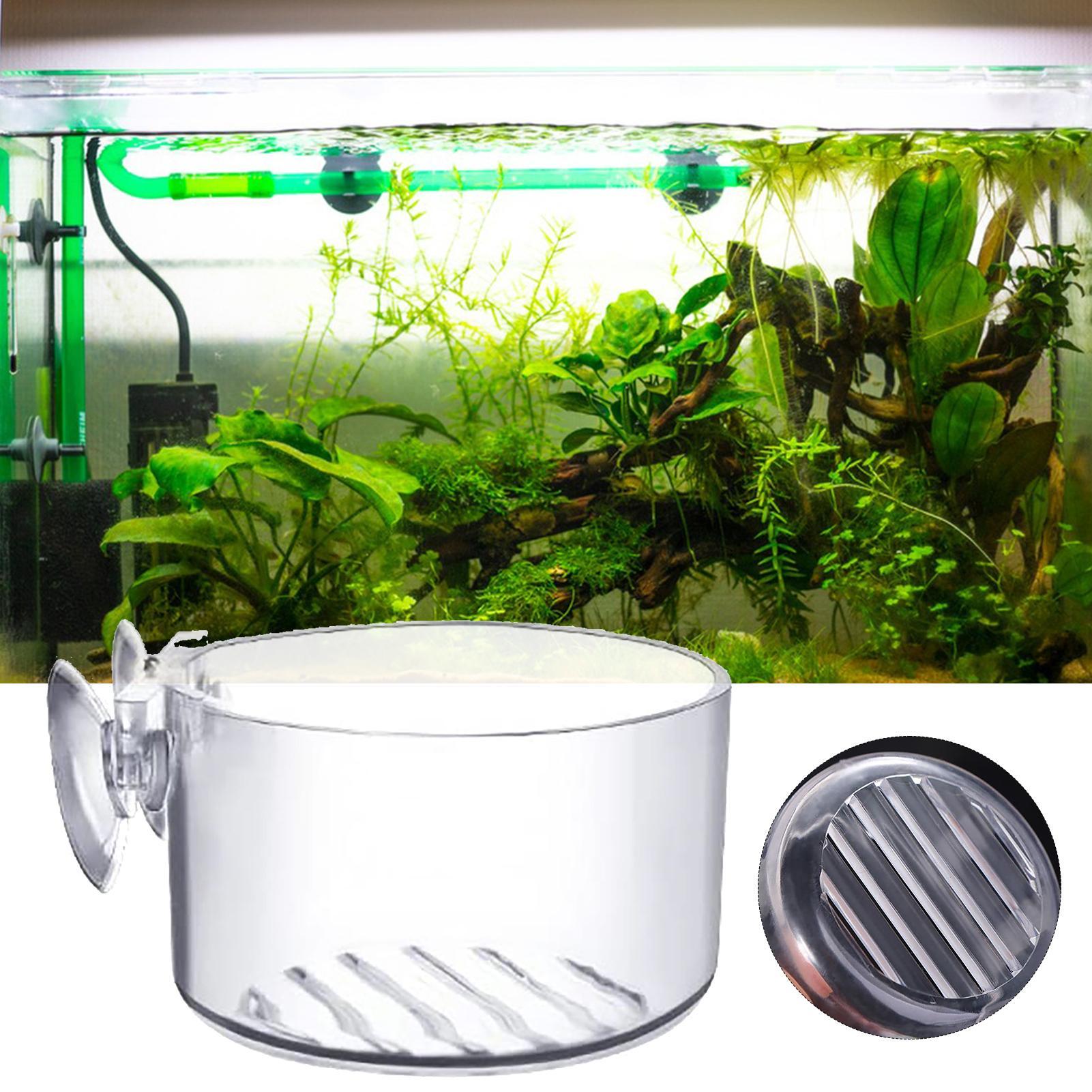 Aquarium Decoration Plant Cup  - огляд і ціна Aquarium Fish Beautiful