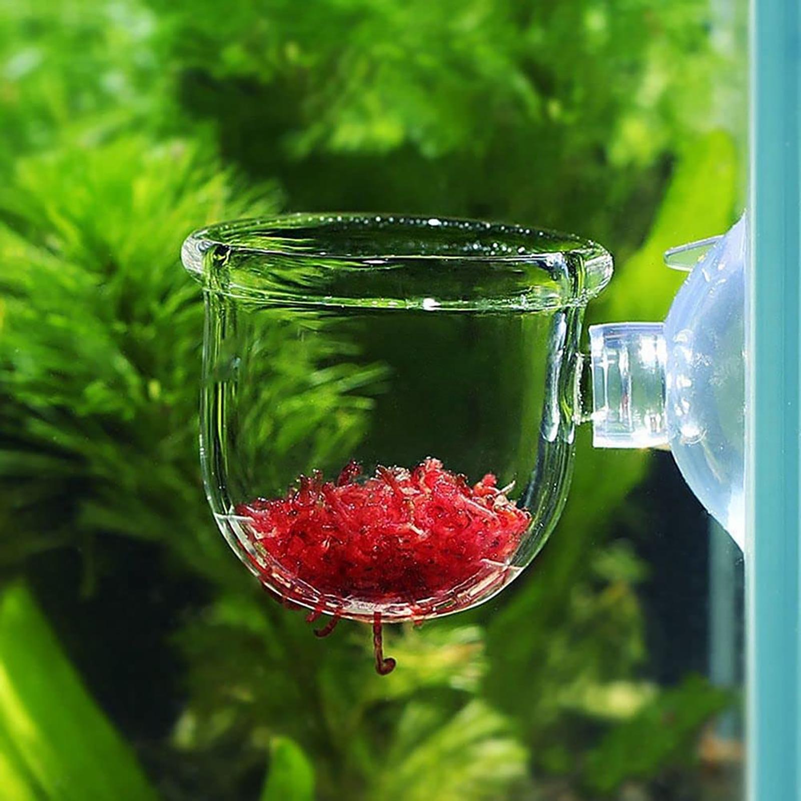 Aquatic Plant Cups Pot with Su - огляд і ціна Aquarium Fish Beautiful