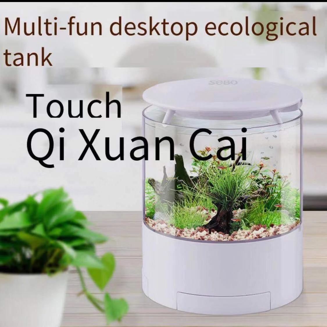 Round colorful lights desktop  - огляд і ціна Aquarium Fish Goldfish