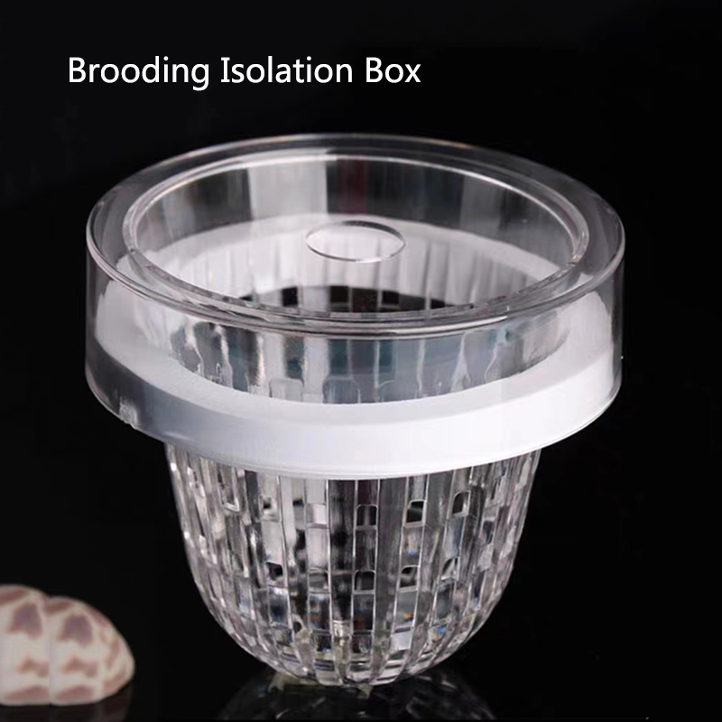 Acrylic Floating Fish Breeding - огляд і ціна Aquarium Fish Feeder