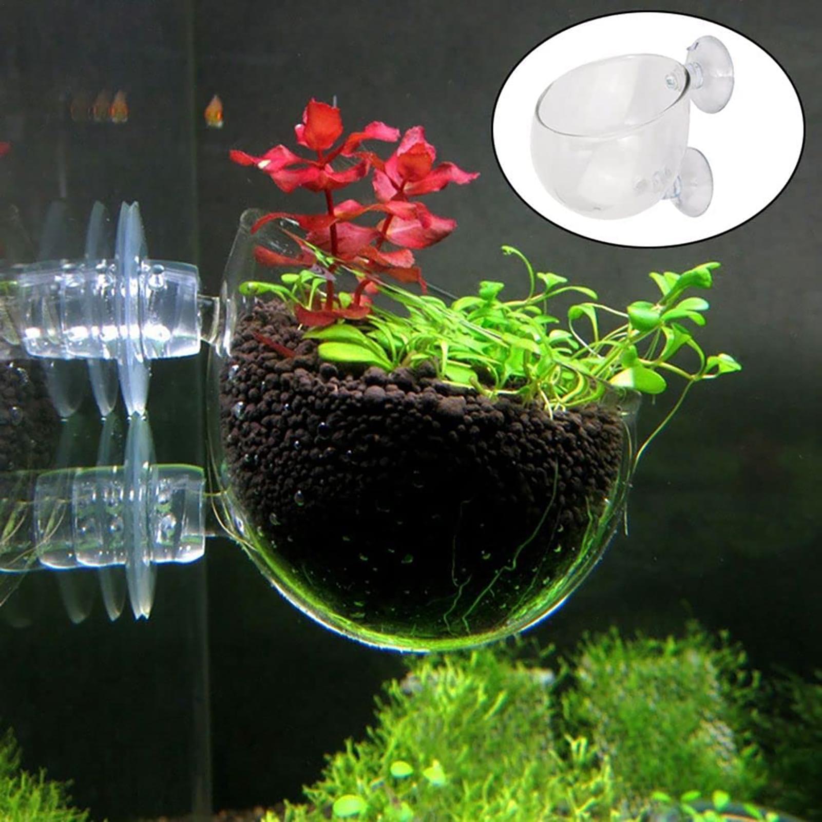 Acrylic Aquarium Plant Pots Aq - огляд і ціна Aquarium Fish Beautiful