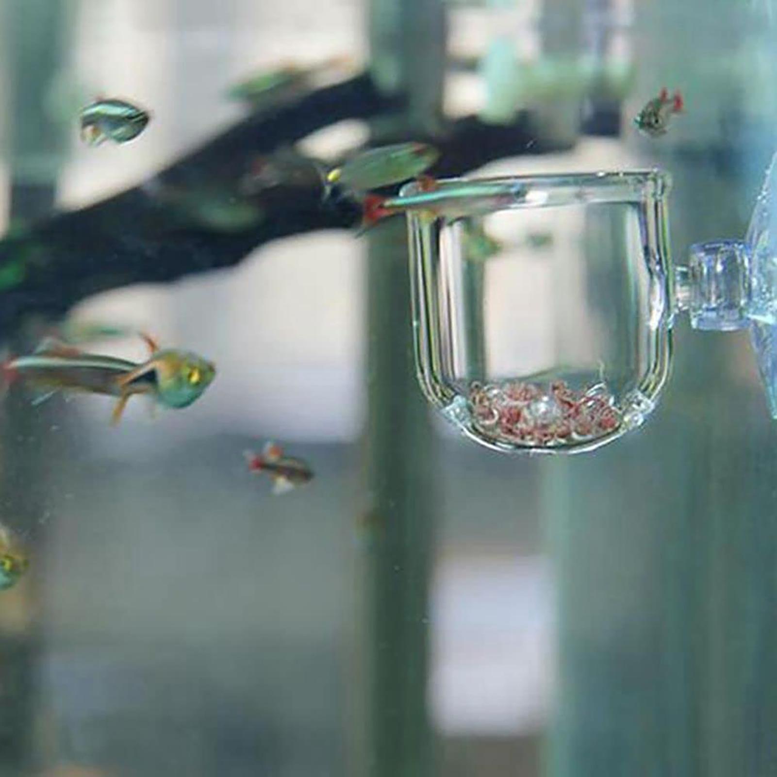 Acrylic Aquarium Plant Pots Aq - огляд і ціна Aquarium Fish Beautiful