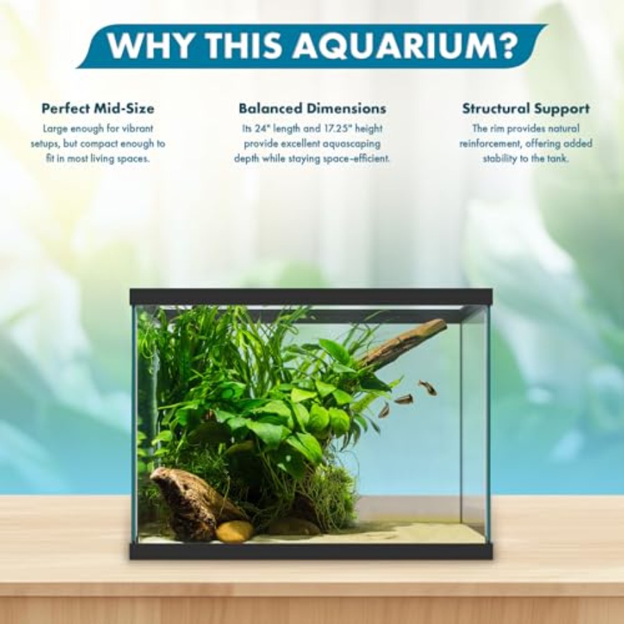 20 Gallon Glass Aquarium - 24  - огляд і ціна Aquarium Fish Goldfish