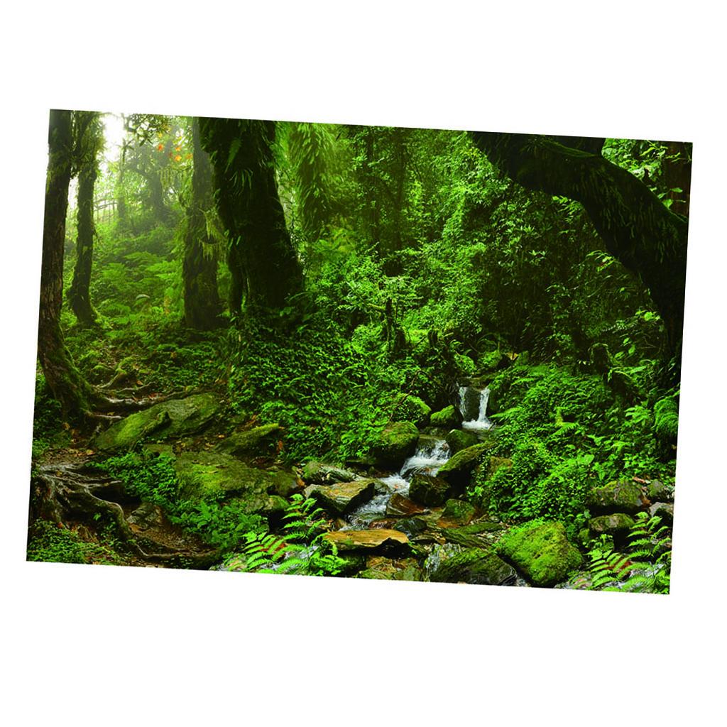 Aquarium Backdrop Poster Vivid - огляд і ціна Aquarium Fish Poster