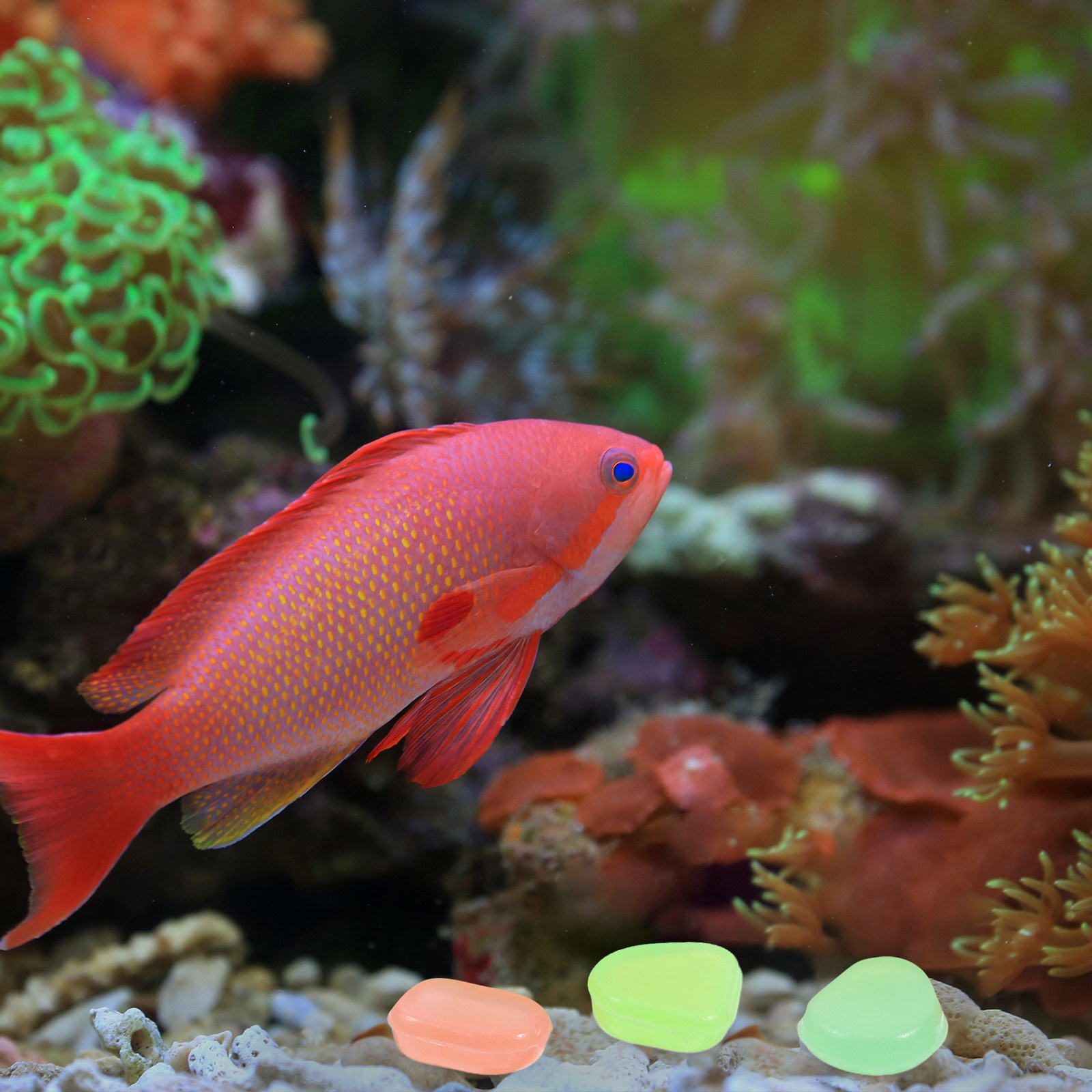 400Pcs Glow in The Dark Pebble - огляд і ціна Aquarium Fish That Glow In The Dark