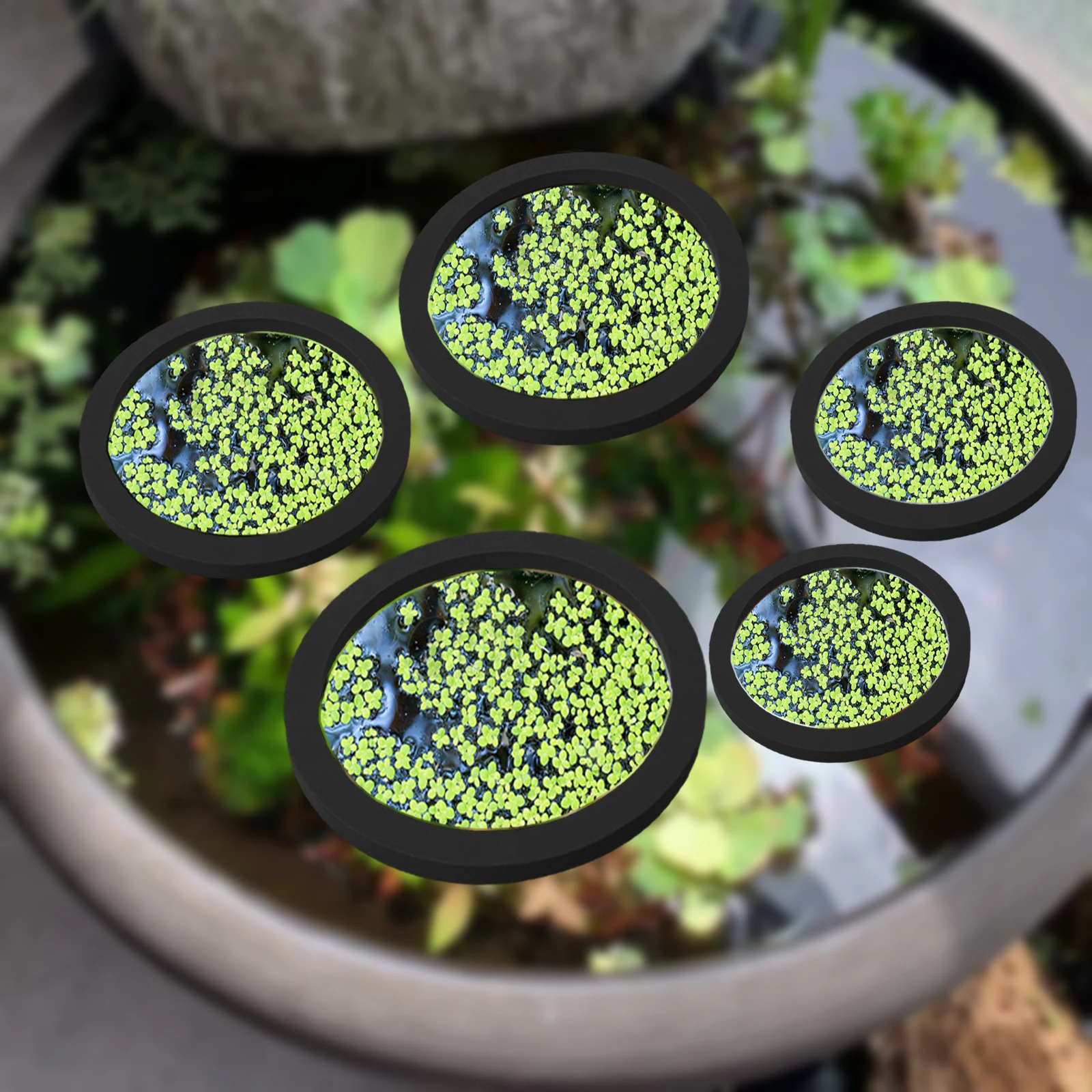 5Pcs EVA Fish Feeding Ring Aqu - огляд і ціна Aquarium Fish Bowl