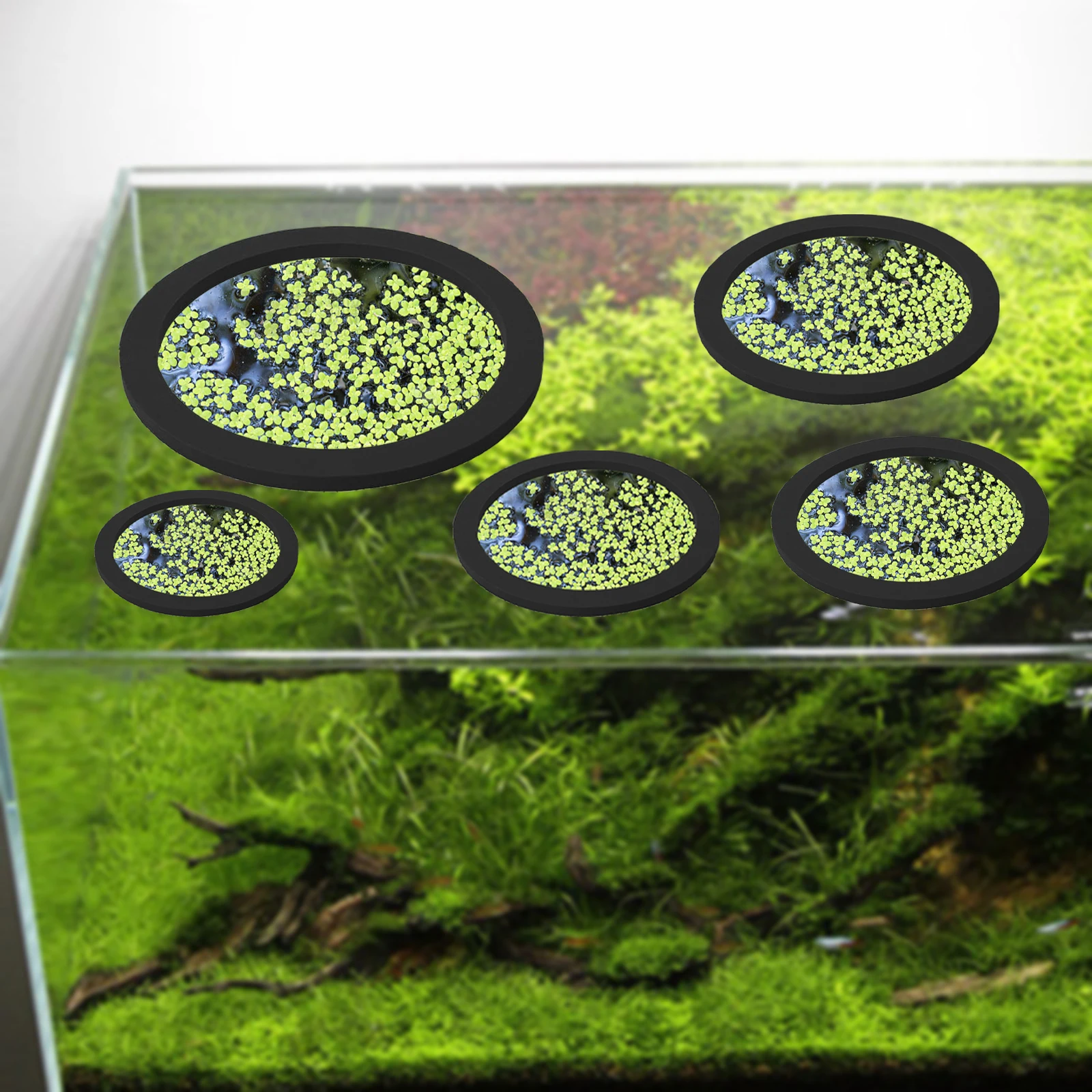 5Pcs EVA Fish Feeding Ring Aqu - огляд і ціна Aquarium Fish Bowl
