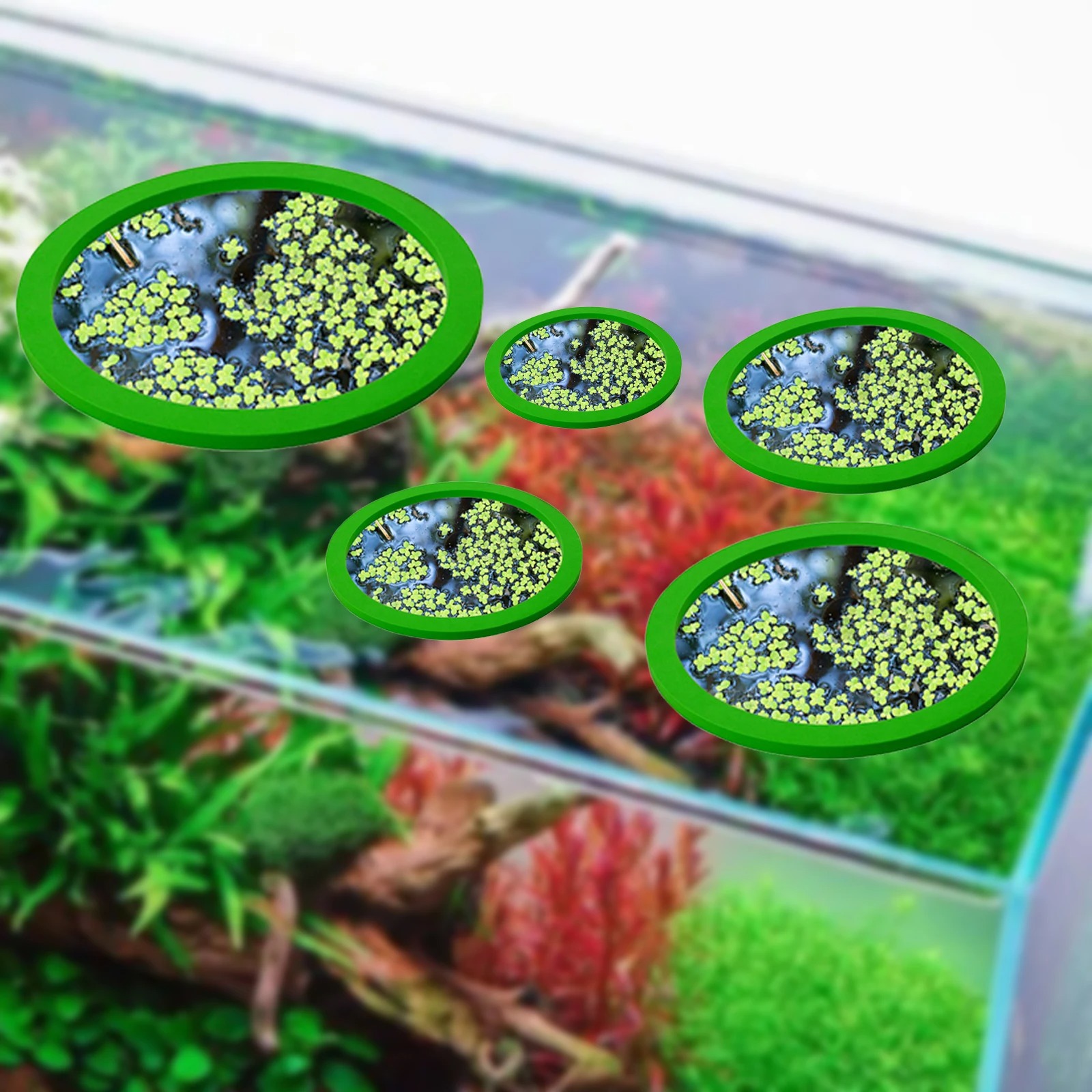 5Pcs EVA Fish Feeding Ring Aqu - огляд і ціна Aquarium Fish Bowl