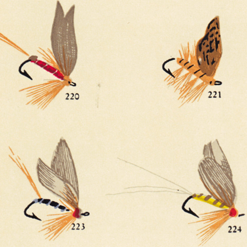 Vintage Fly Fishing Lure Poste - огляд і ціна Aquarium Fish Poster