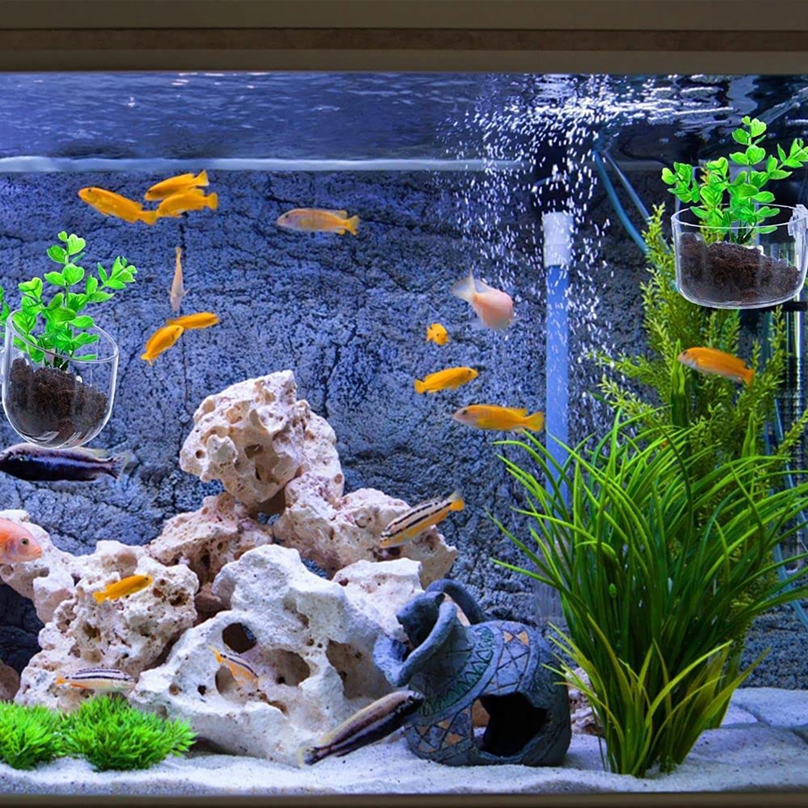 Plant Holder for Fish Tank Cle - огляд і ціна Aquarium Fish Beautiful