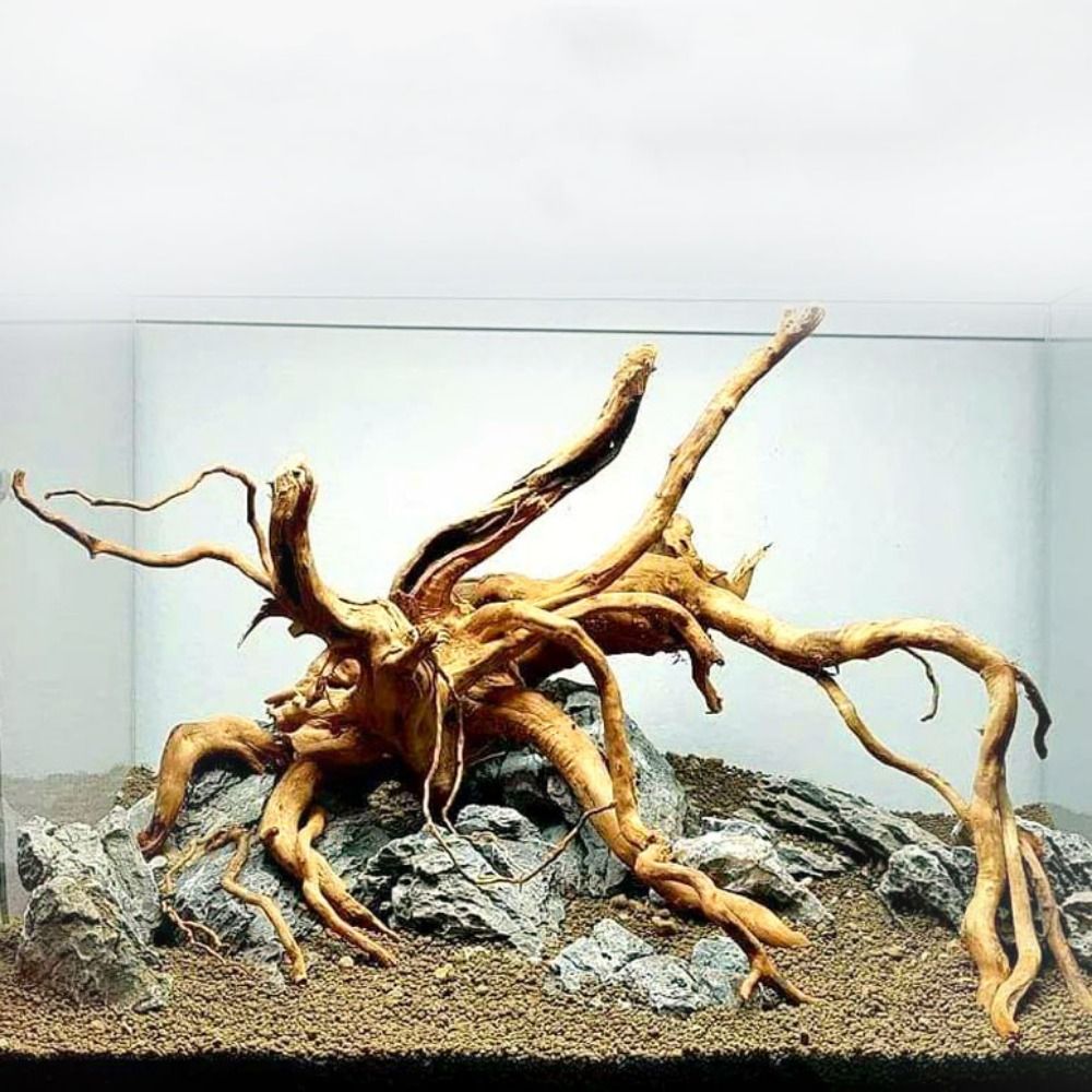 20-25CM Large Aquarium Driftwo - огляд і ціна Aquarium Fish Big