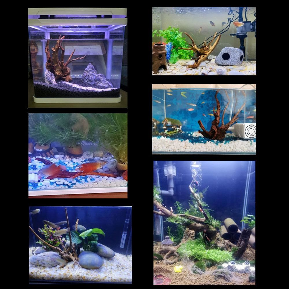 20-25CM Large Aquarium Driftwo - огляд і ціна Aquarium Fish Big
