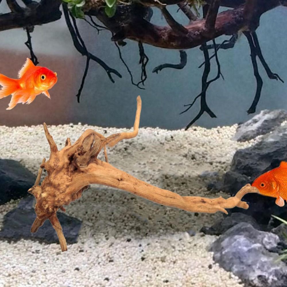 20-25CM Large Aquarium Driftwo - огляд і ціна Aquarium Fish Big