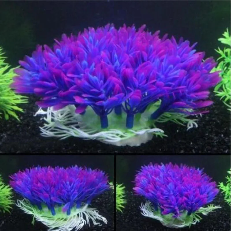 Artificial Wide Short Fish Tan - огляд і ціна Aquarium Fish Beautiful