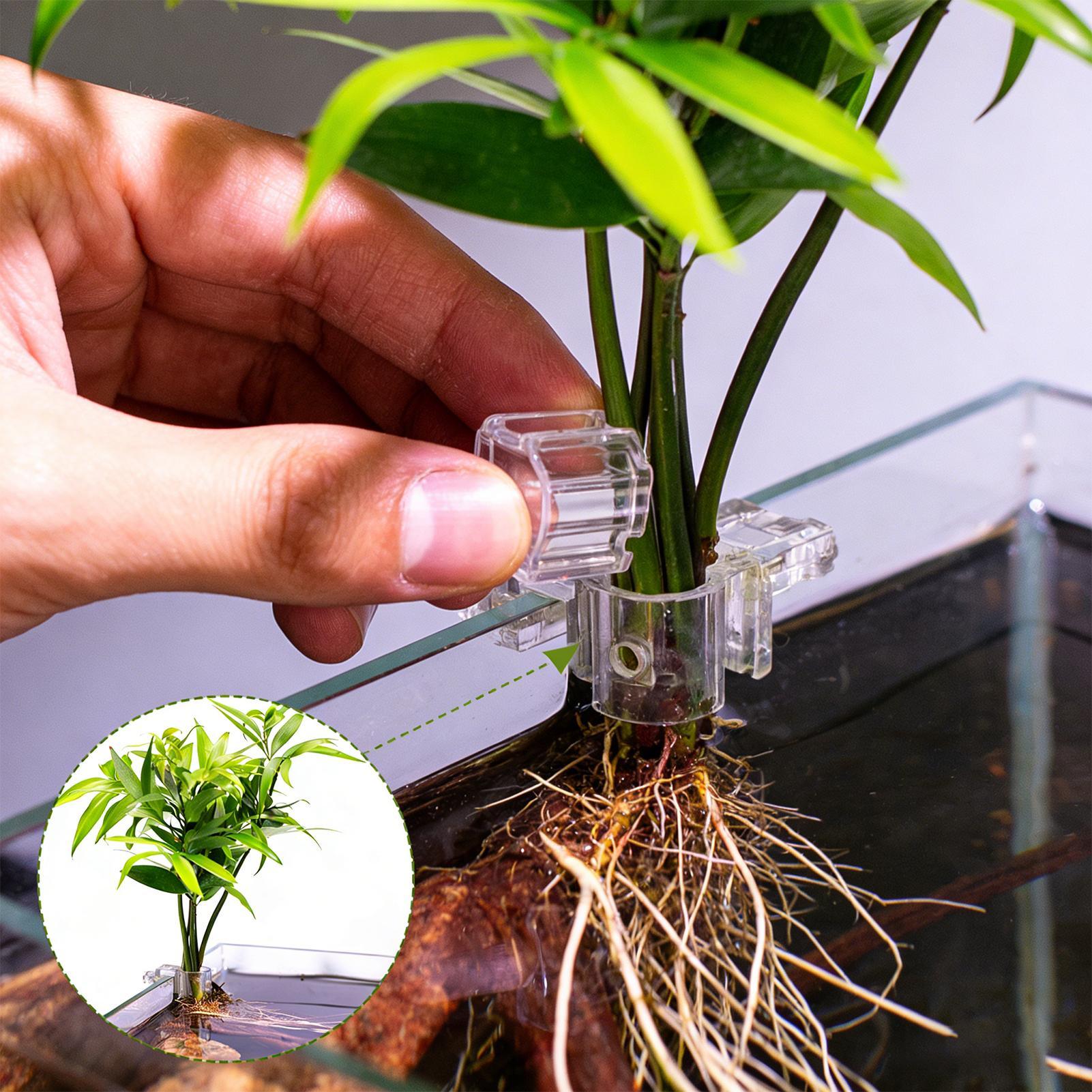 Mini Fish Tank Planter Pot 6Pc - огляд і ціна Aquarium Fish Feeder