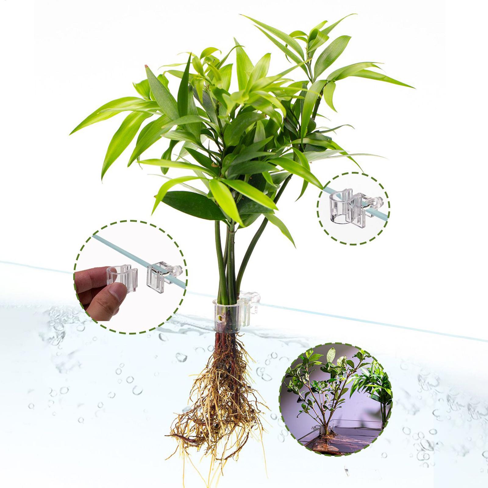 Mini Fish Tank Planter Pot 6Pc - огляд і ціна Aquarium Fish Feeder