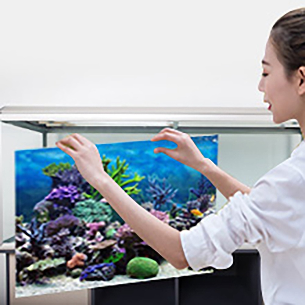 PVC Aquarium Background Poster - огляд і ціна Aquarium Fish Poster