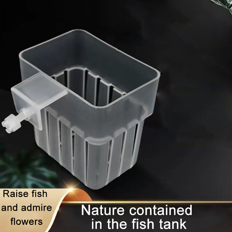 Aquarium Transparent Hydroponi - огляд і ціна Aquarium Fish Big