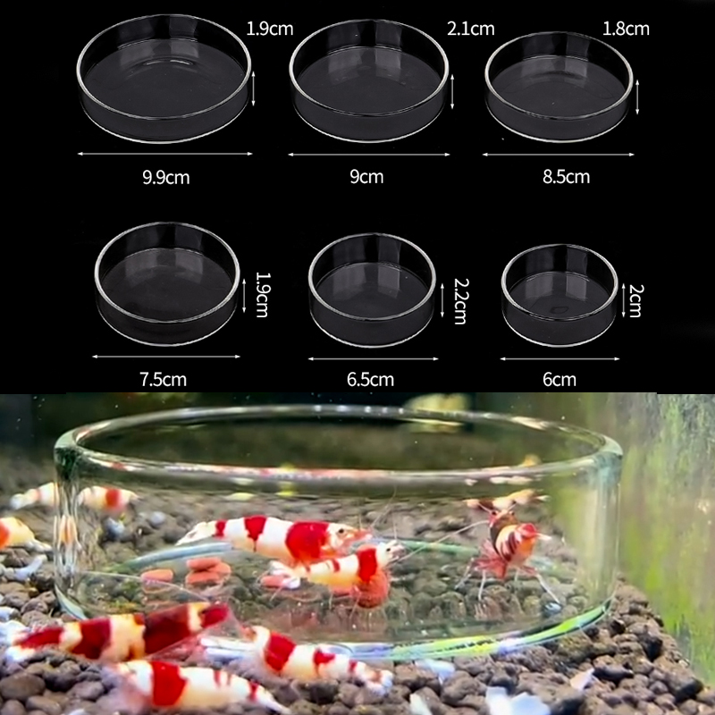 Shrimp Feeding Dish High Trans - огляд і ціна Aquarium Fish Feeder