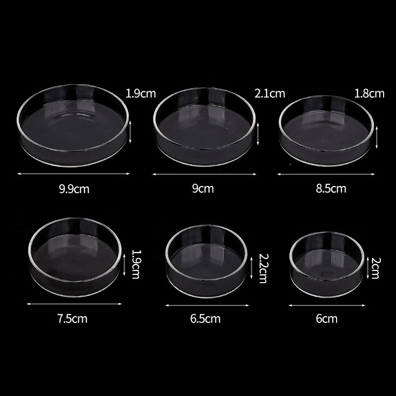Shrimp Feeding Dish High Trans - огляд і ціна Aquarium Fish Feeder