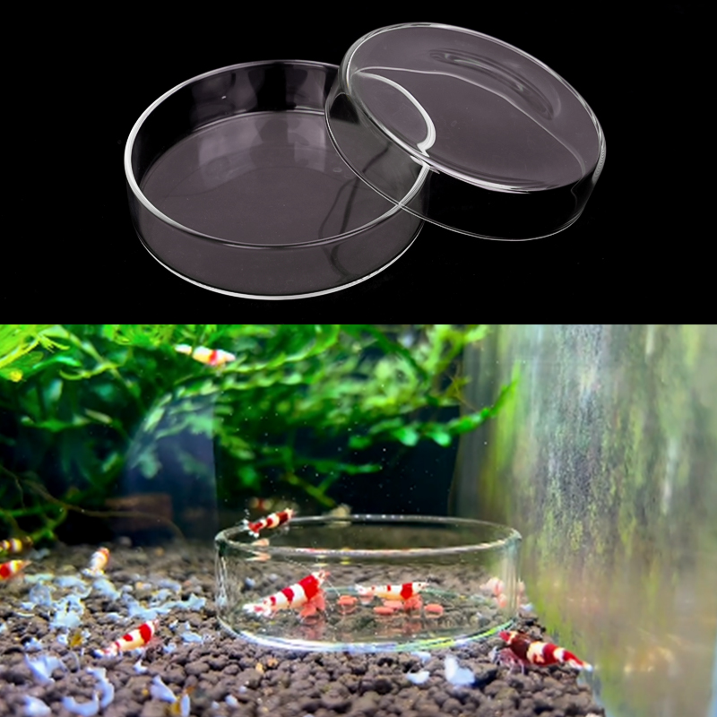Shrimp Feeding Dish High Trans - огляд і ціна Aquarium Fish Feeder