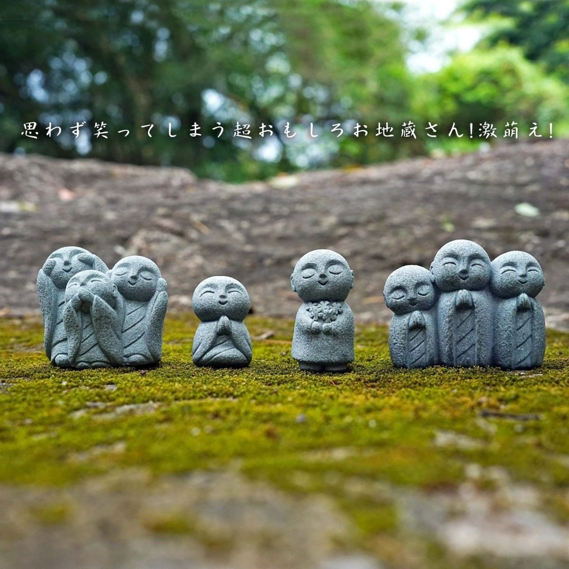 Cute Japanese Monk Kyoto Prefe - огляд і ціна Aquarium Fish Japan