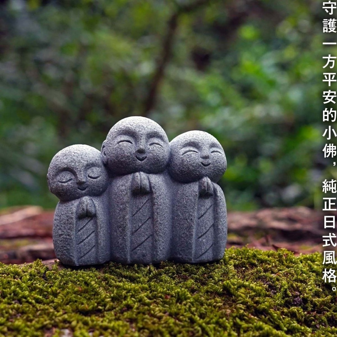 Cute Japanese Monk Kyoto Prefe - огляд і ціна Aquarium Fish Japan