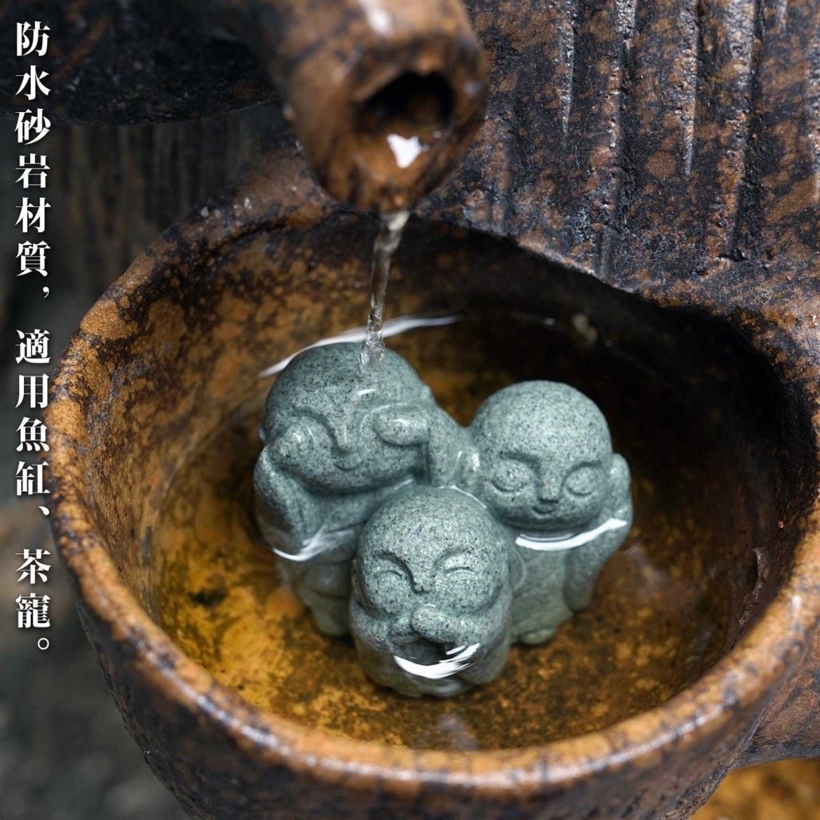 Cute Japanese Monk Kyoto Prefe - огляд і ціна Aquarium Fish Japan
