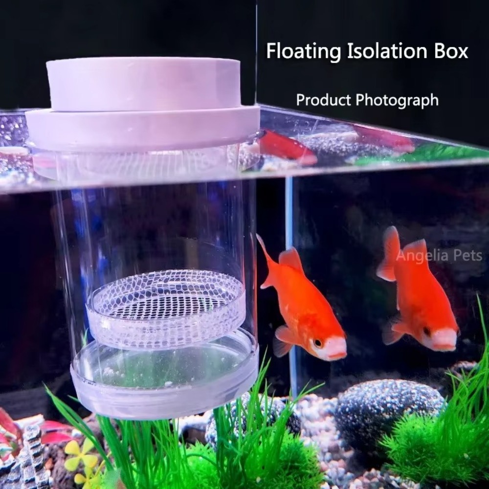 Plastic Floating Fish Breeding - огляд і ціна Aquarium Fish Feeder