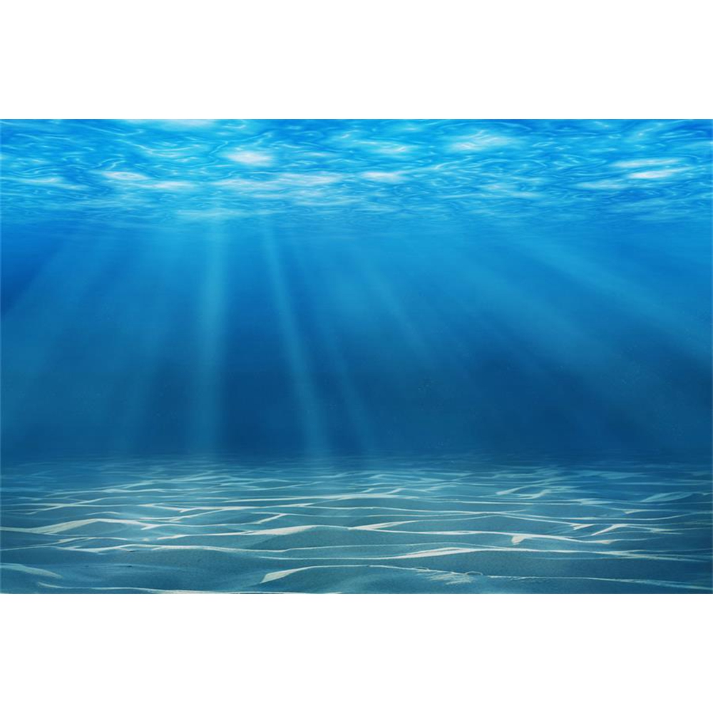 Underwater World Seabed Photog - огляд і ціна Aquarium Fish Of The World