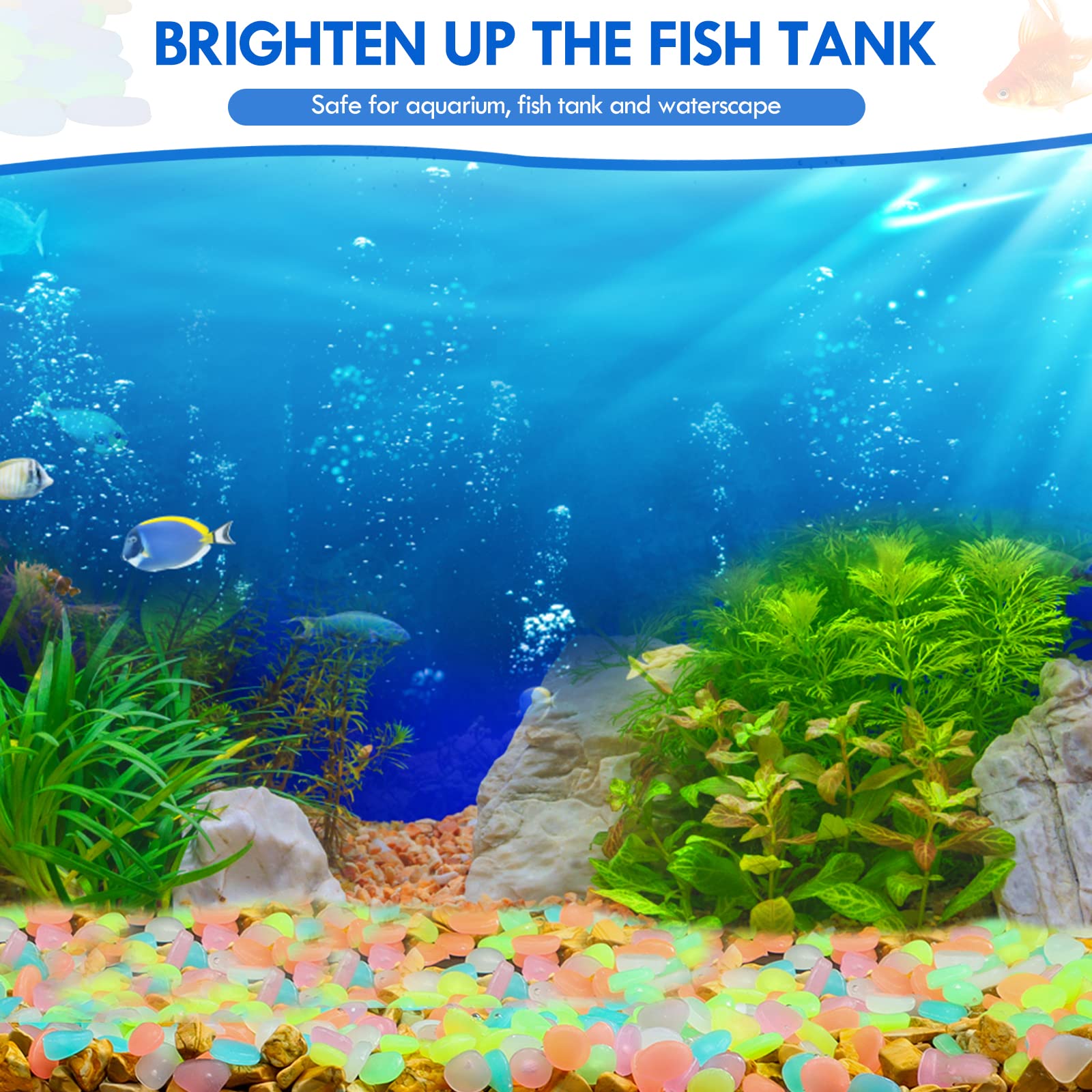 100Pcs Glow in the Dark Garden - огляд і ціна Aquarium Fish Fishing