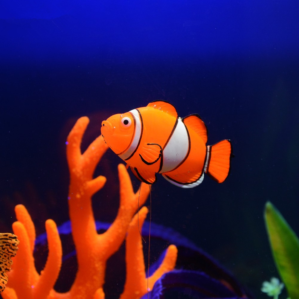 Glow in the Dark Luminous Sili - огляд і ціна Aquarium Fish That Glow In The Dark